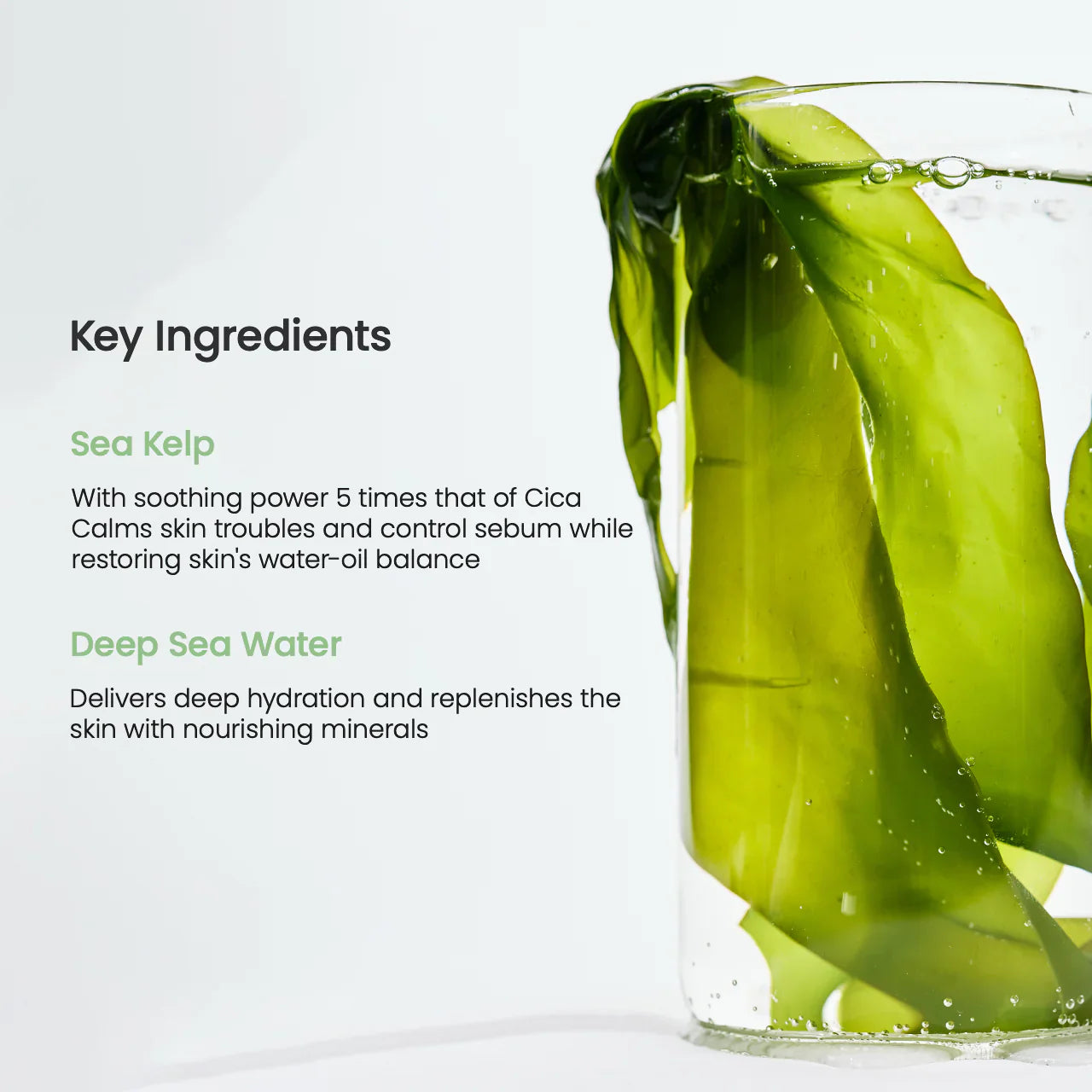 Biodance-Refreshing Sea Kelp Real Deep Mask